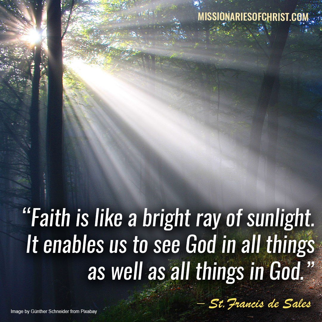 Saint Francis de Sales Quote on Faith