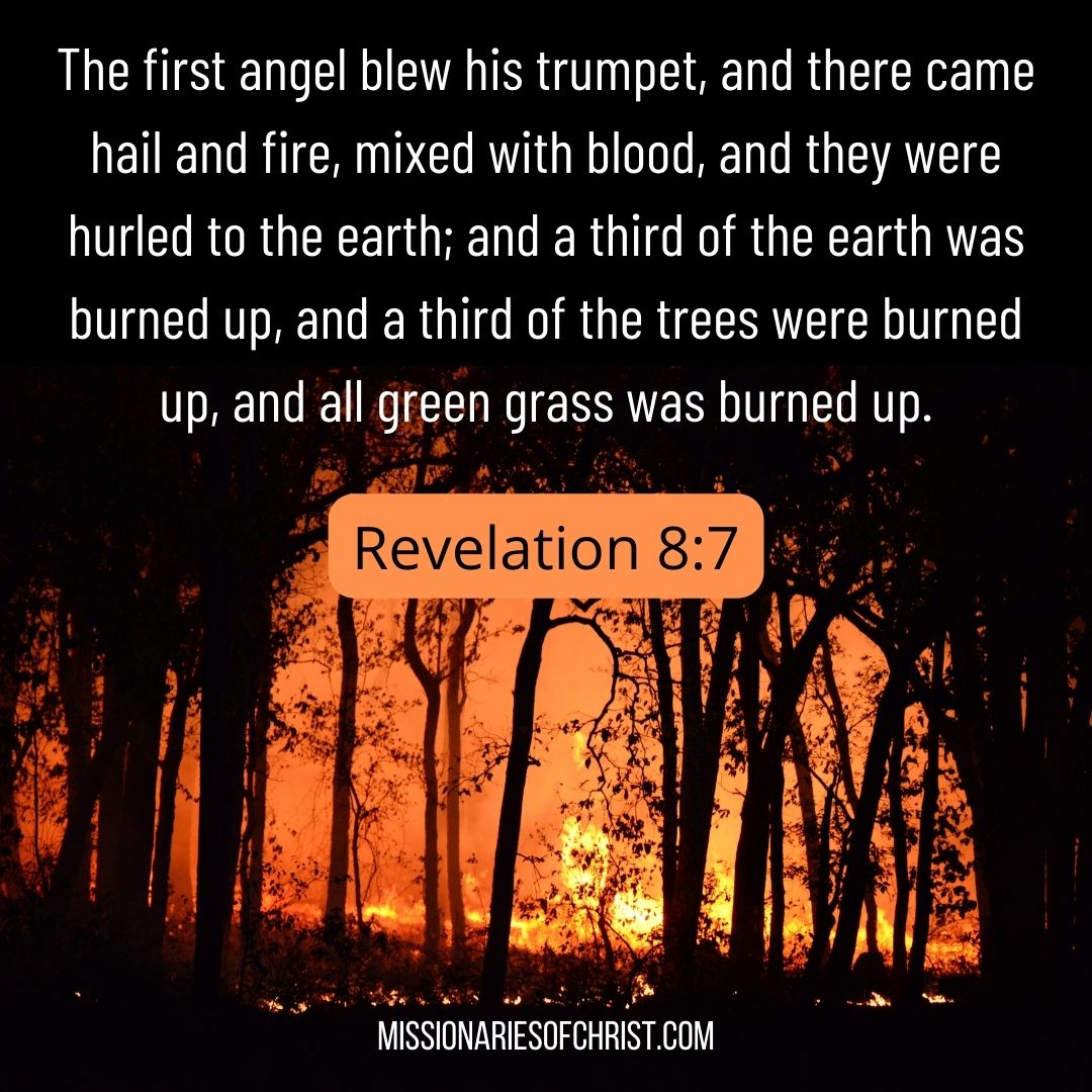Revelation Verse on the First Trumpet