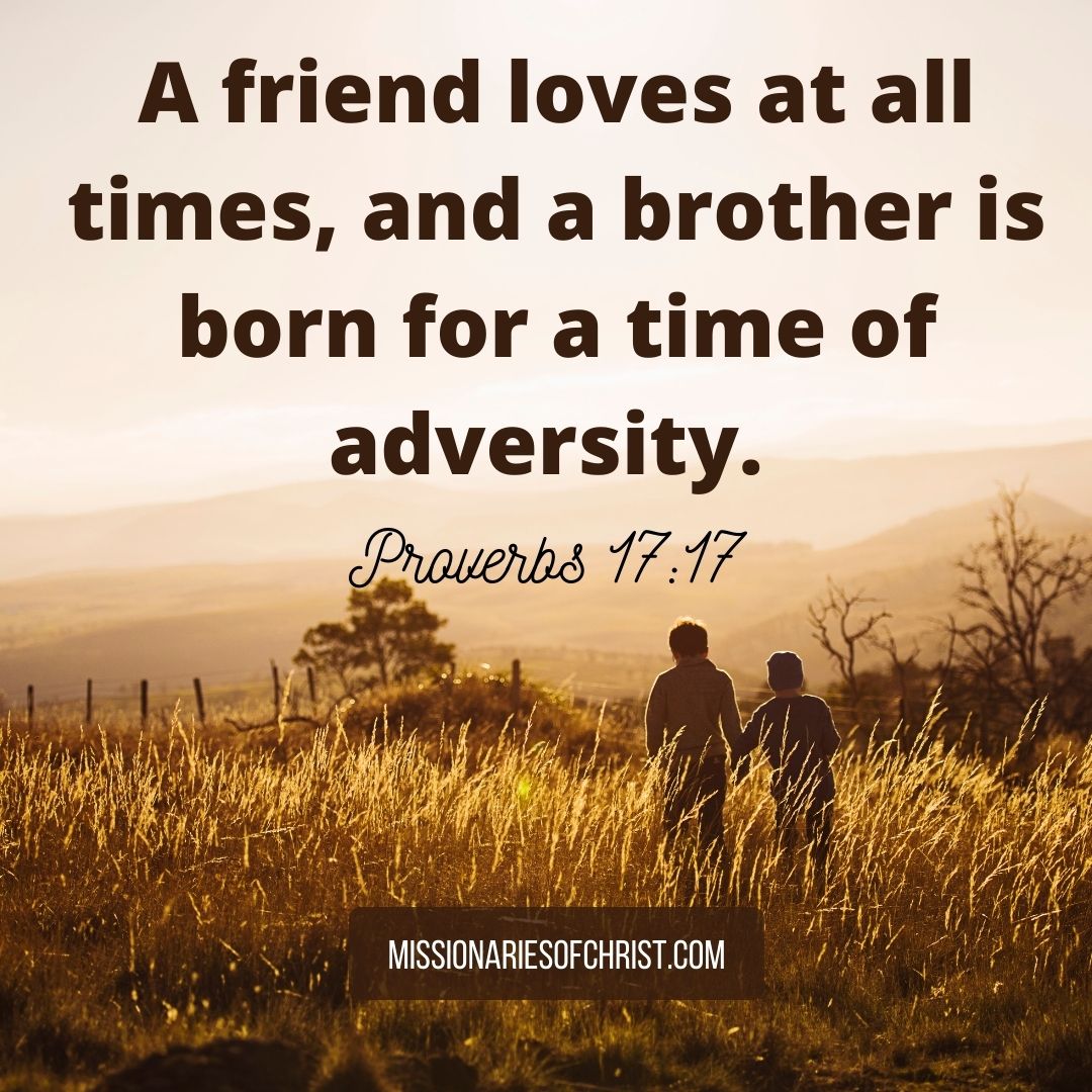 Proverbs Bible Verses About Friendship and Brotherhood