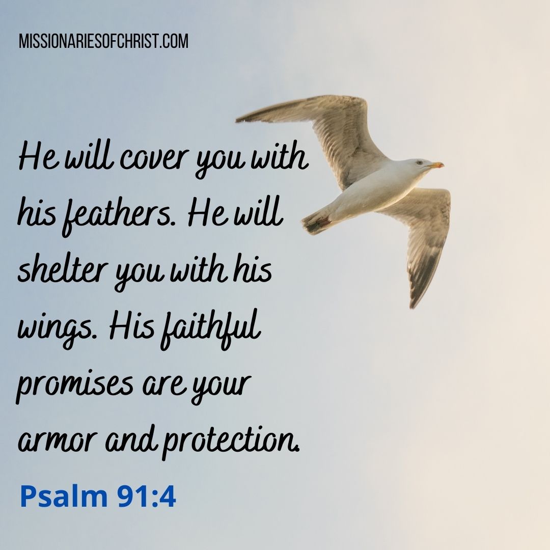 Psalm Bible Verses About God’s Faithful Promises