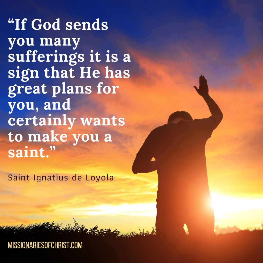 Saint Ignatius Quote on Sufferings