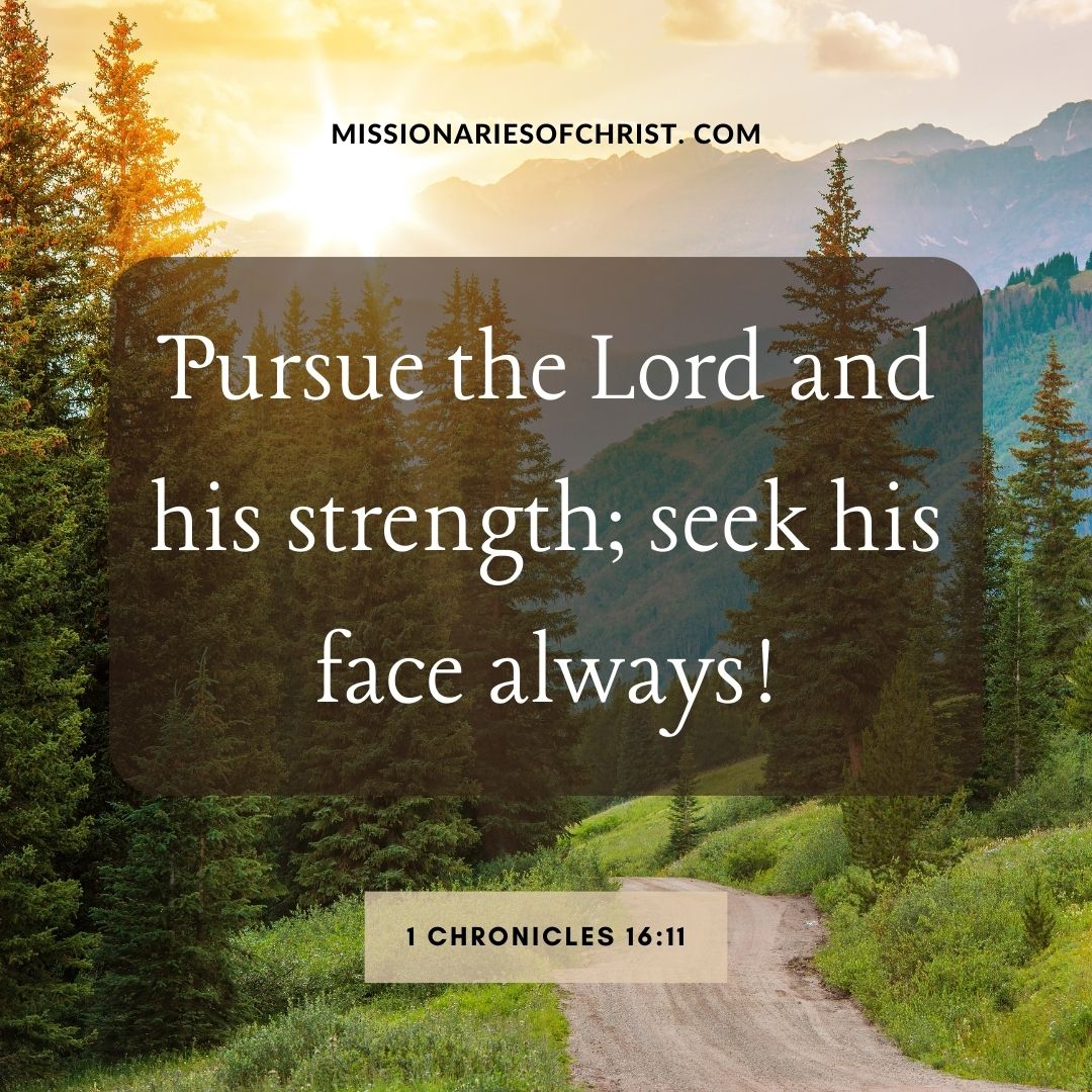 Bible Verse About Pursuing the Lord