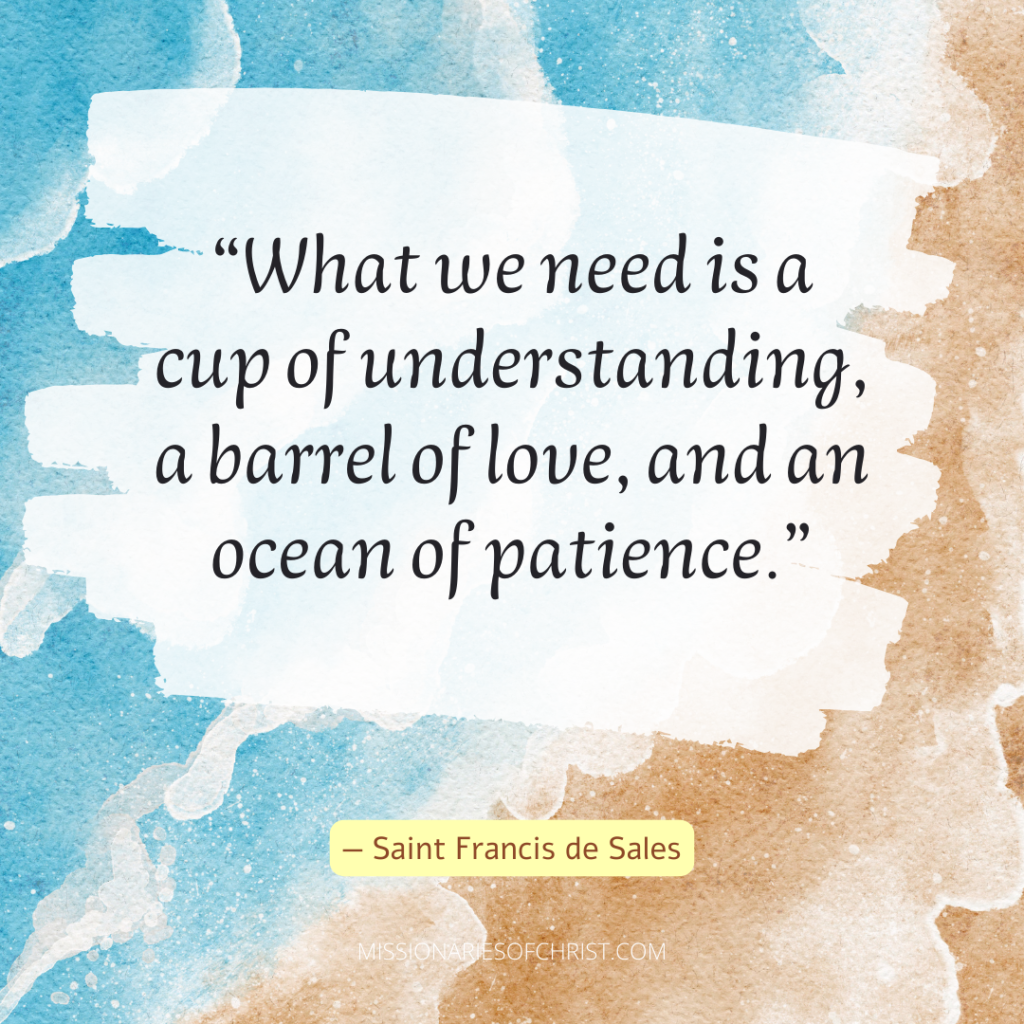 Saint Francis De Sales Quote About Patience - Missionaries Of Christ 