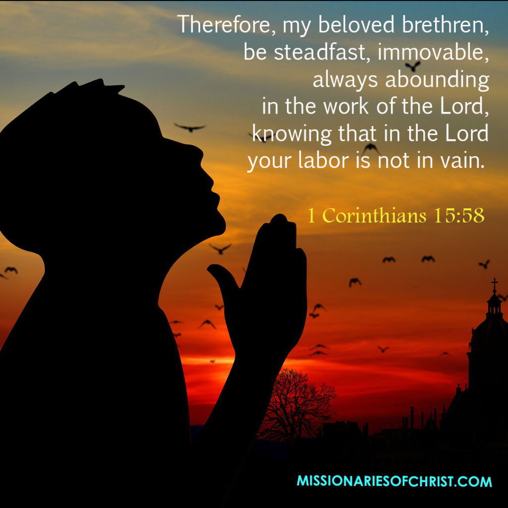 Your Labor is Not In Vain - Missionaries of Christ - Catholic Reading ...