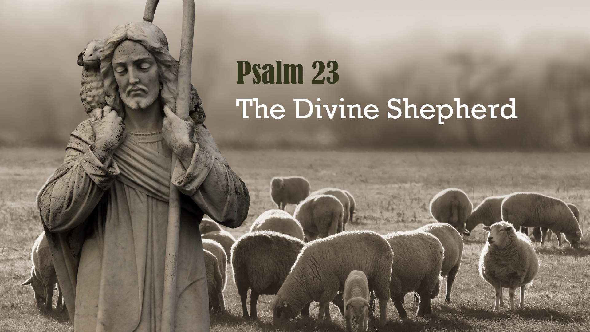 psalm-23-a-pastor-s-thoughts