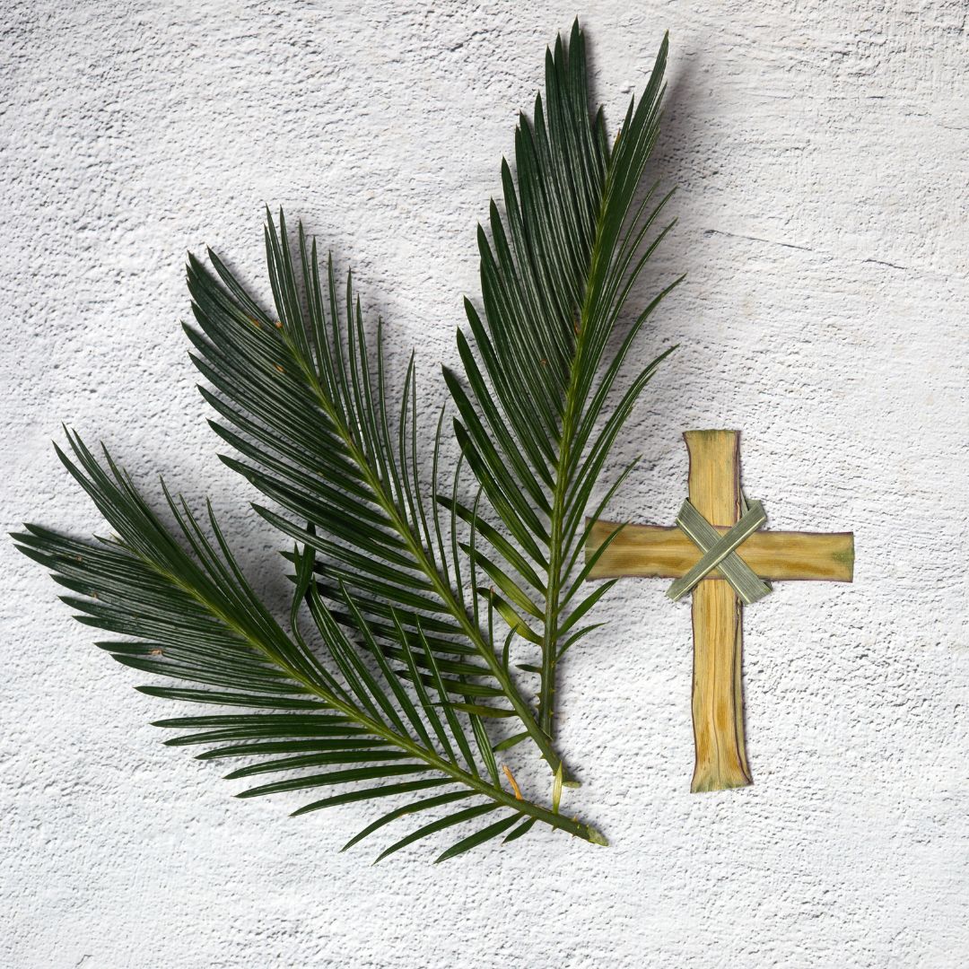 Palm Sunday Of The Lords Passion April 2 2023 Missionaries Of