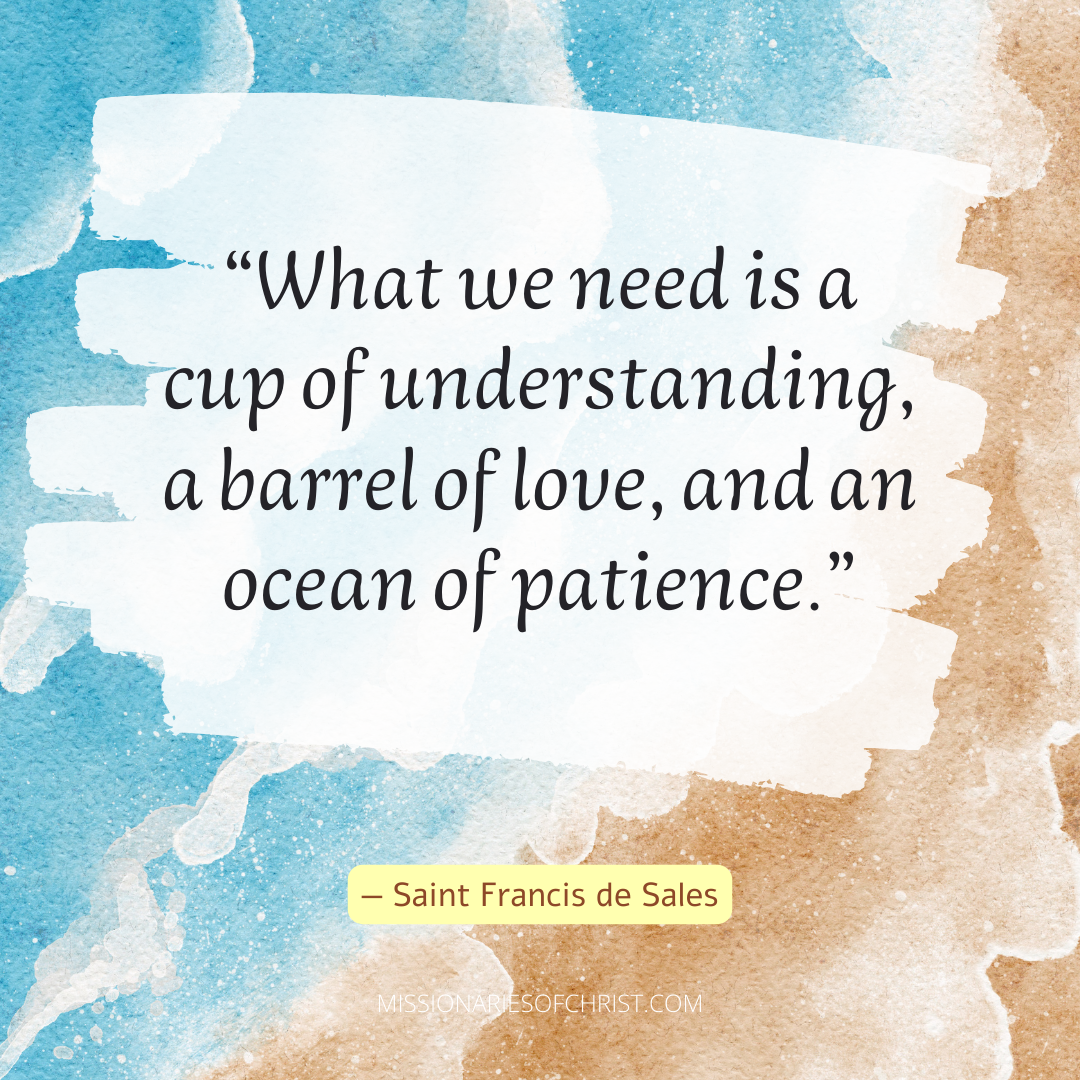 Saint Francis de Sales Quote About Patience