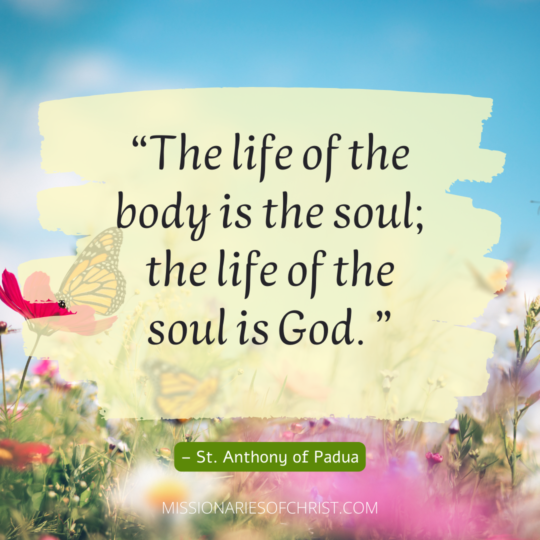 Saint Anthony de Padua Quote on the Life of the Soul